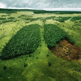 Image 2 (Aime's speech)